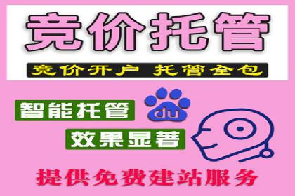 百度SEM代运营案例剖析：助力企业实现高效转化