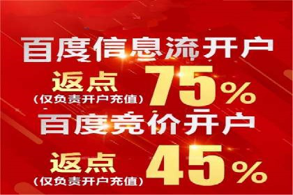 百度SEO推广成功案例：品牌知名度提升
